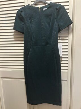 Calvin Klein Dark Green Sparkle Midi Sheath Dress